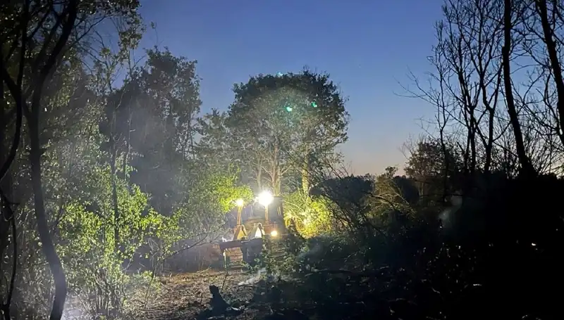 Edirne Orman Yangınında Zorlu Mücadele: Yangın Kontrol Altına Alındı