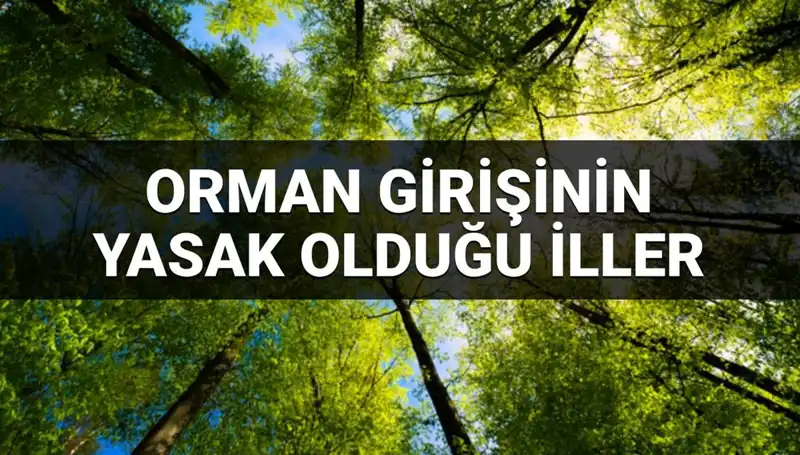 Türkiye'nin Hangi İllerinde Ormana Girmek Yasak? 2025 Listesi