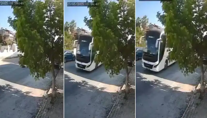 Yolda Yatan Köpeği Ezip Geçen Şoför, Olayda Sonrası Gözler Yolda!