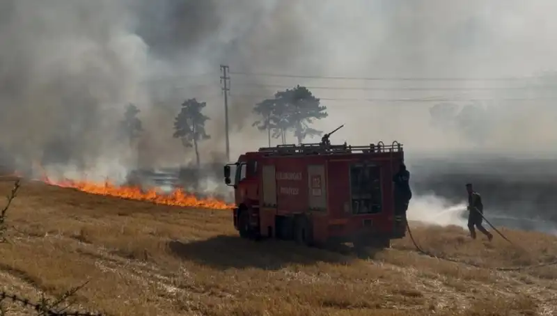 Kırklareli'nde Korkutan Anız Yangını: Yangın Birkaç Saatte Kontrol Altına Alındı