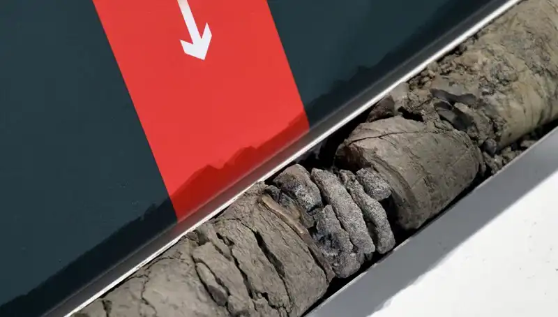 Müze Otoparkında Şaşırtan Keşif: Dinozor Fosili Bulundu!
