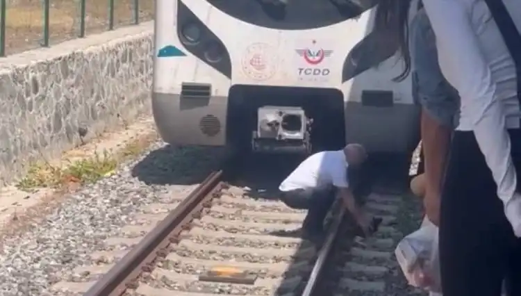 Marmaray Makinistinin Kediyi Kurtarma Hareketi: Takdir Toplayan An