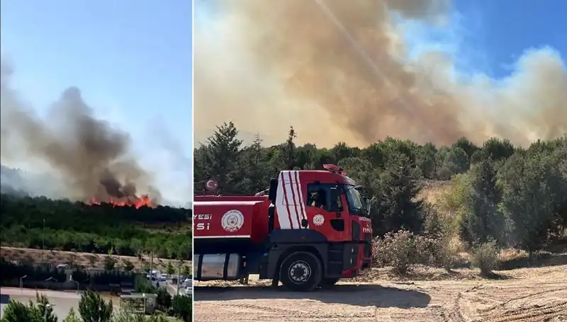Gebze'de Orman Yangını: Doğa Dostları ve İtfaiye Ekibi Mücadele Ediyor
