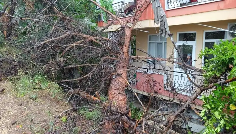 Yağmura Daha Fazla Dayanamadı: Bina Çöktü ve Hayatları Tehdit Etti!