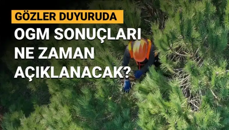 OGM Personel Alımı: 3 Bin 477 Sözleşmeli İlan Sonuçları İçin Tarih Bekleniyor