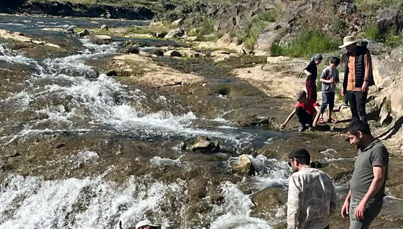 İnci Kefalinin Büyüleyici Göçü: Turistler Neden Burada?
