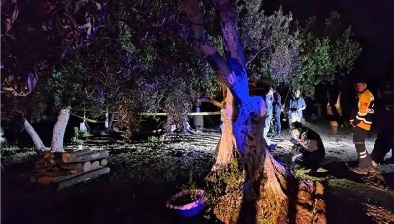 Çiftlikteki Baltalı Vahşet: Üç Kişi Tutuklandı, Kamuoyunda Şok Etkisi Yarattı