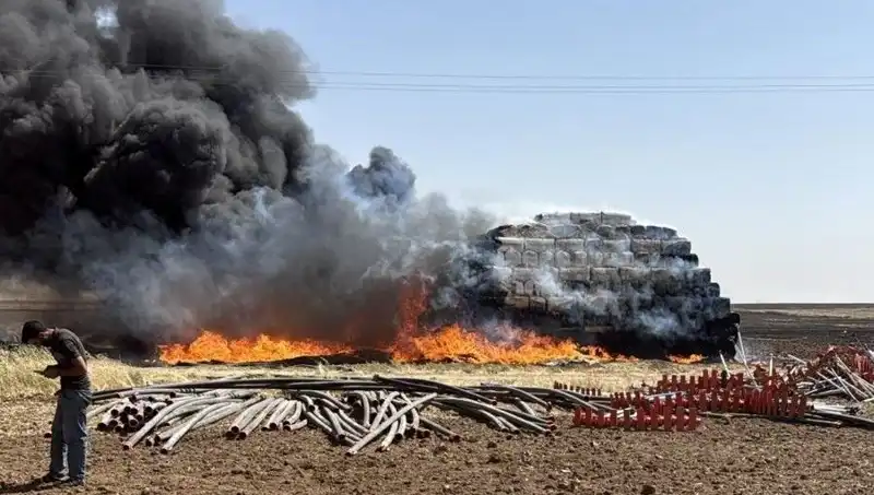 Mardin'de Yakıcı Anız Yangını: Doğaya Verilen Zararın Farkında Mıyız?