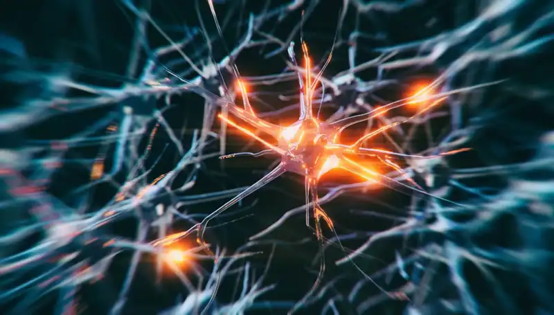 Alzheimer Vakalarının Artışında Nedenler ve Son Gelişmeler