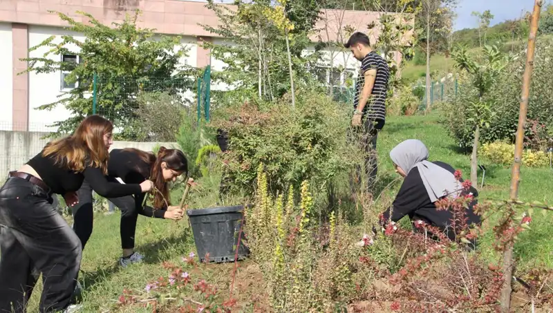 Düzce’nin Hayali Gerçeğe Dönüştü: Dünyaya Açılan Kapı