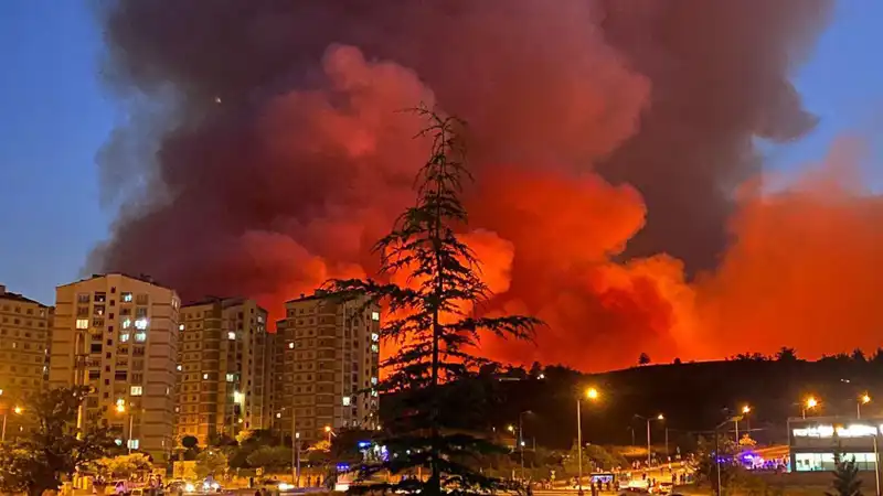 Bursa'daki Yangınlar: Doğayı Karanlık Bir Geleceğe Sürüklüyor