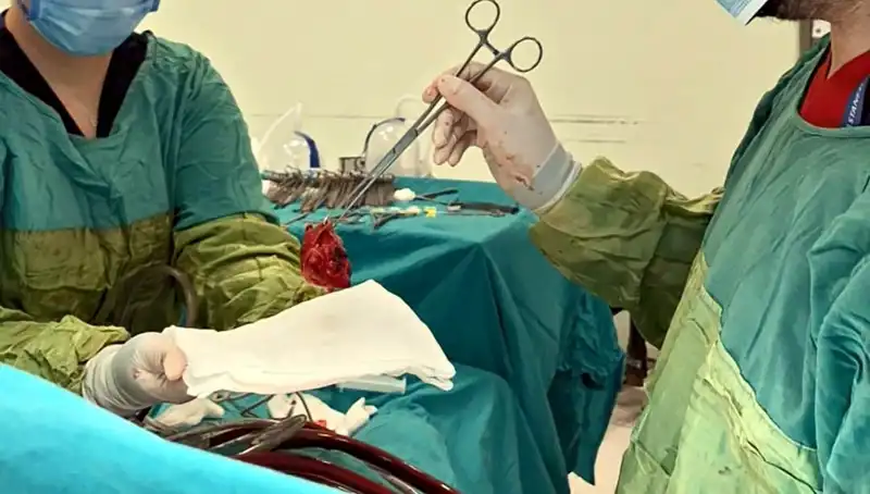 7 Saat Süren Ameliyat Sonrası Kalp Kapağı Mucizesi: Doktorlar Hayretler İçinde